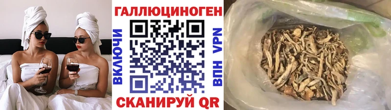 ссылка на мегу tor  продажа наркотиков  Нижний Новгород  Псилоцибиновые грибы MAGIC MUSHROOMS 